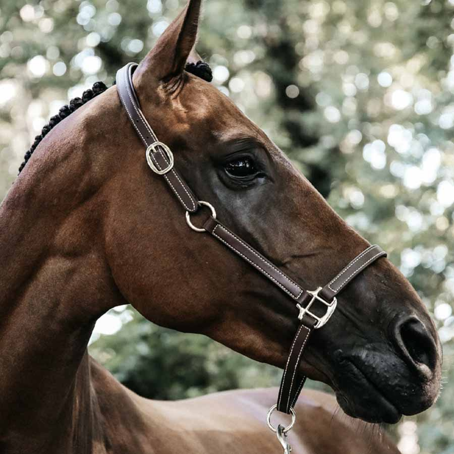 Lederhalfter Artificial Anatomic Flexible Braun