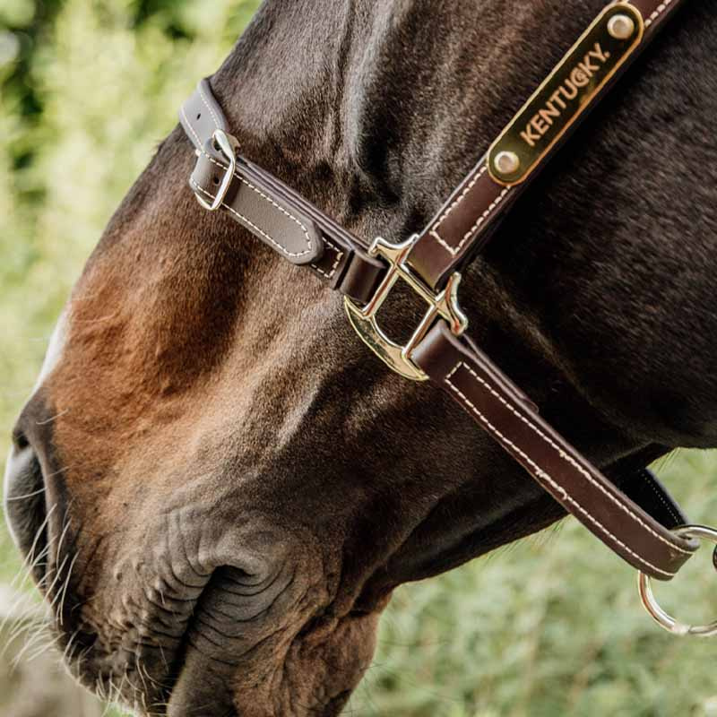 Lederhalfter Artificial Anatomic Flexible Braun