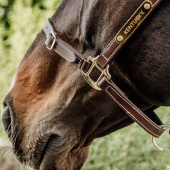 Lederhalfter Artificial Anatomic Flexible Braun Lederhalfter Artificial Anatomic Flexible Braun