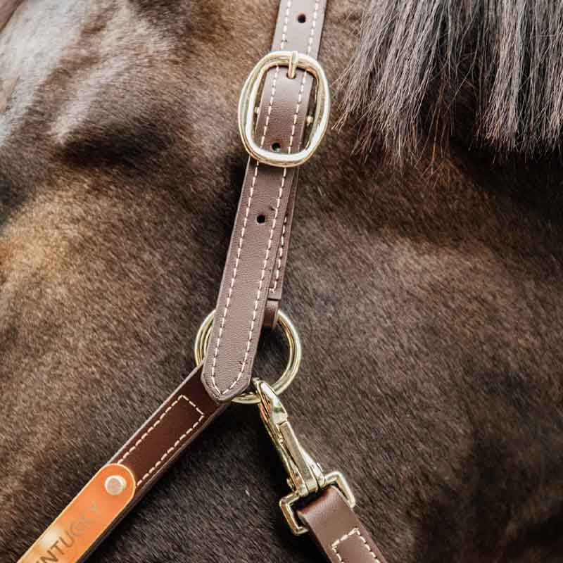 Lederhalfter Artificial Anatomic Flexible Braun