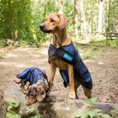 Kühlmantel Hund Cool on Track 2.0 Blau Kühlmantel Hund Cool on Track 2.0 Blau
