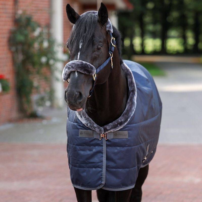 Stalldecke Show-Line 150g Marineblau/Grau