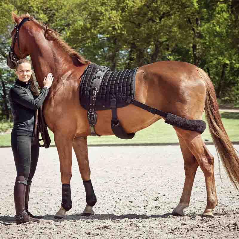 Dressurschabracke Fir-Tech mit Elastischen Bändern Schwarz
