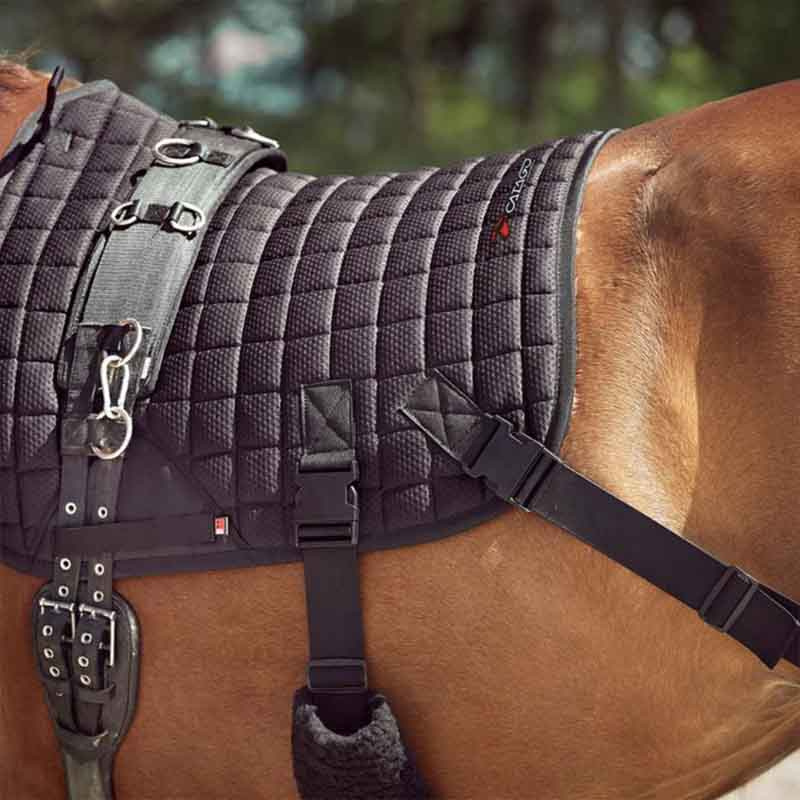 Dressurschabracke Fir-Tech mit Elastischen Bändern Schwarz