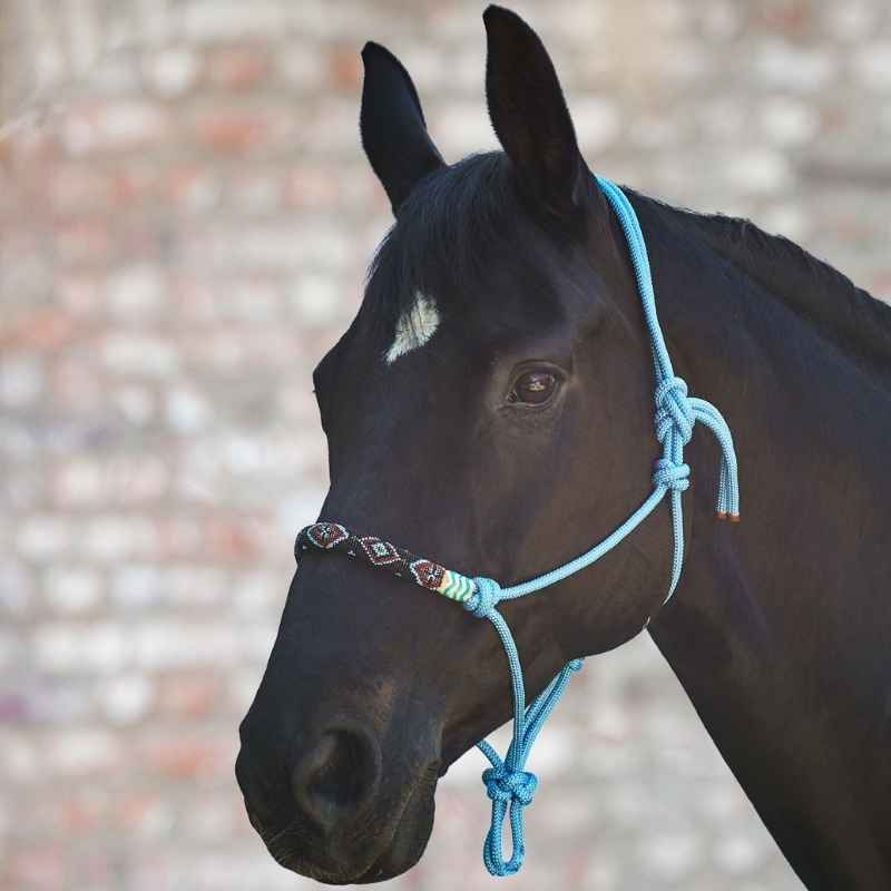 Knotenhalfter Pearls Blau