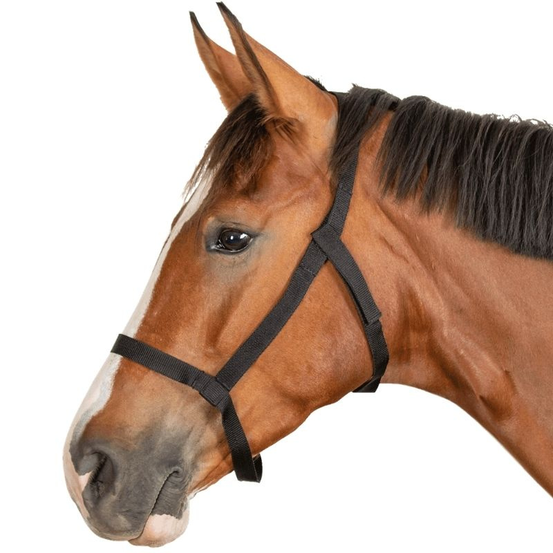 Weidehalfter Grazing Schwarz