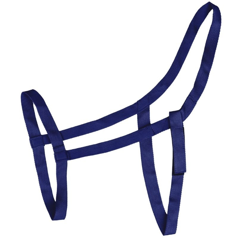 Weidehalfter Grazing Marineblau