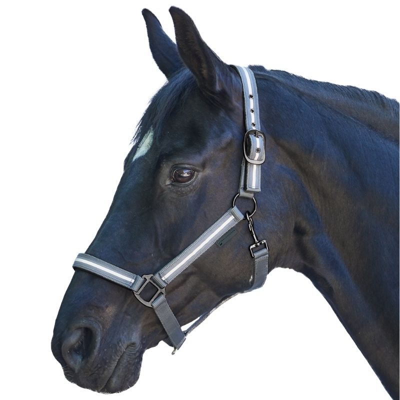 Halfter Reflex Stripe Grau
