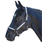 Halfter Reflex Stripe Grau Halfter Reflex Stripe Grau