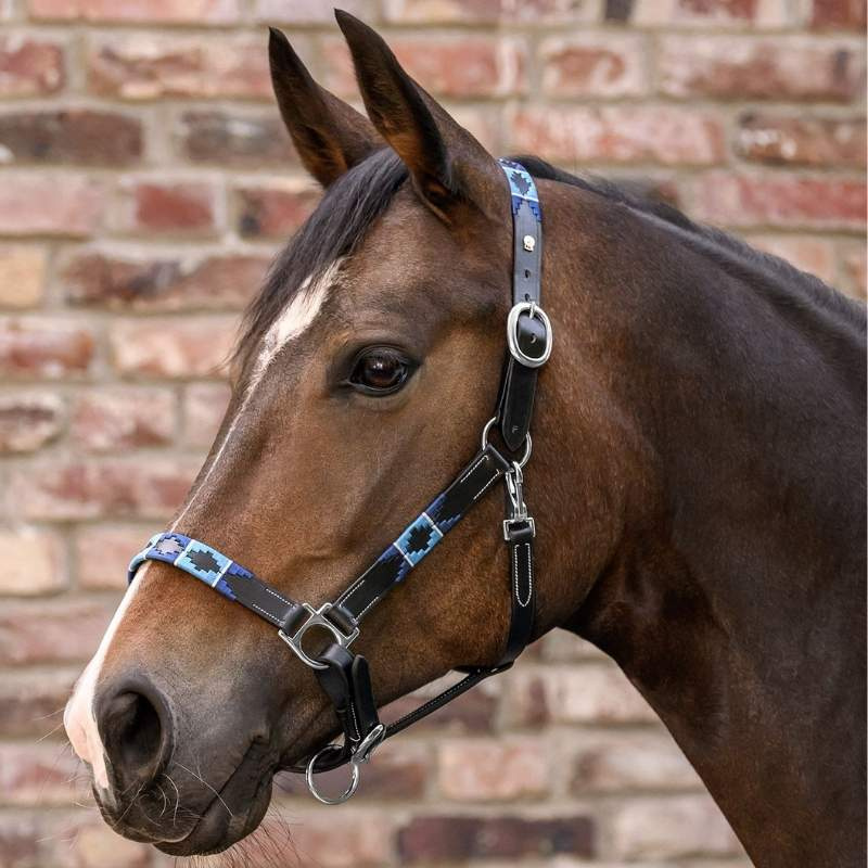 Lederhalfter Polo X-Line Schwarz/Blau