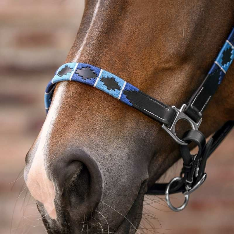 Lederhalfter Polo X-Line Schwarz/Blau