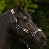 Lederhalfter Polo X-Line Schwarz/Rosa Lederhalfter Polo X-Line Schwarz/Rosa