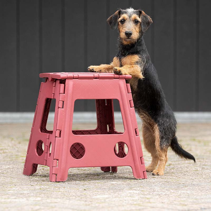 Klapphocker Step-Up Bordeaux