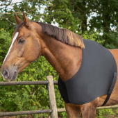 Schultergamaschen Elastic Schwarz Schultergamaschen Elastic Schwarz