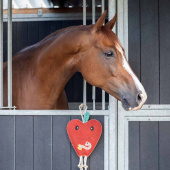 Pferdespielzeug Apfel aus Leder ECO Rot