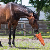 Pferdespielzeug Karotte XL aus Leder ECO Orange