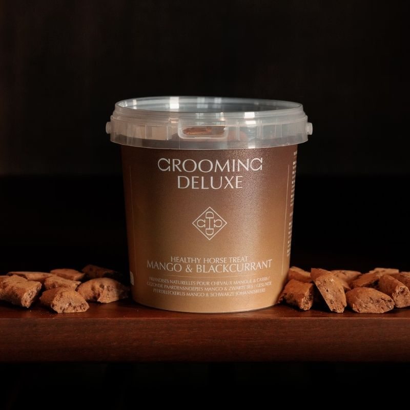 Pferdeleckerlis Healthy Horse Treats Mango & Blackcurrant 500g