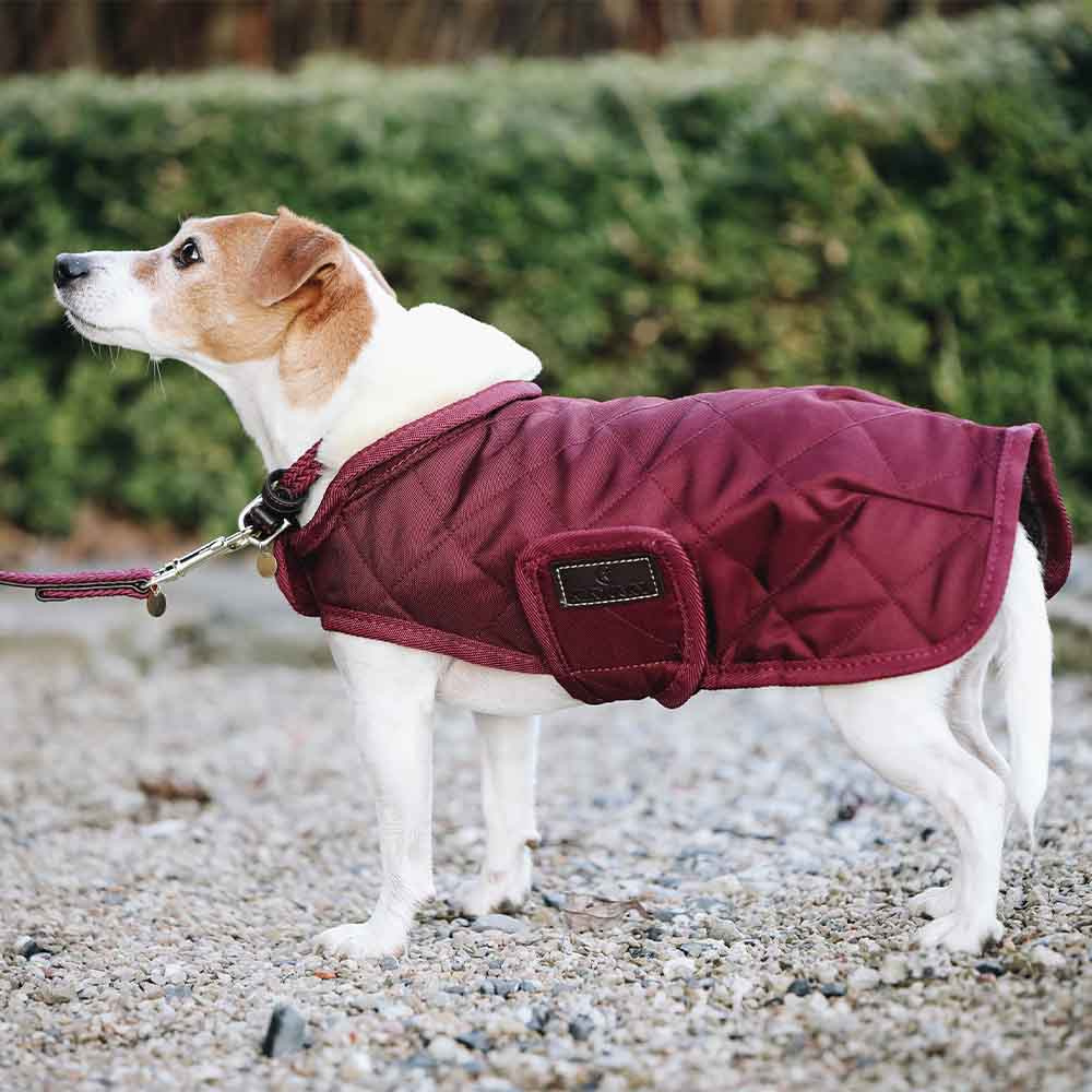 Hundemantel Original Bordeaux
