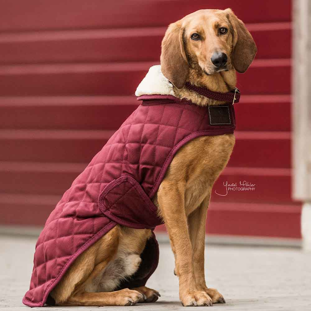 Hundemantel Original Bordeaux