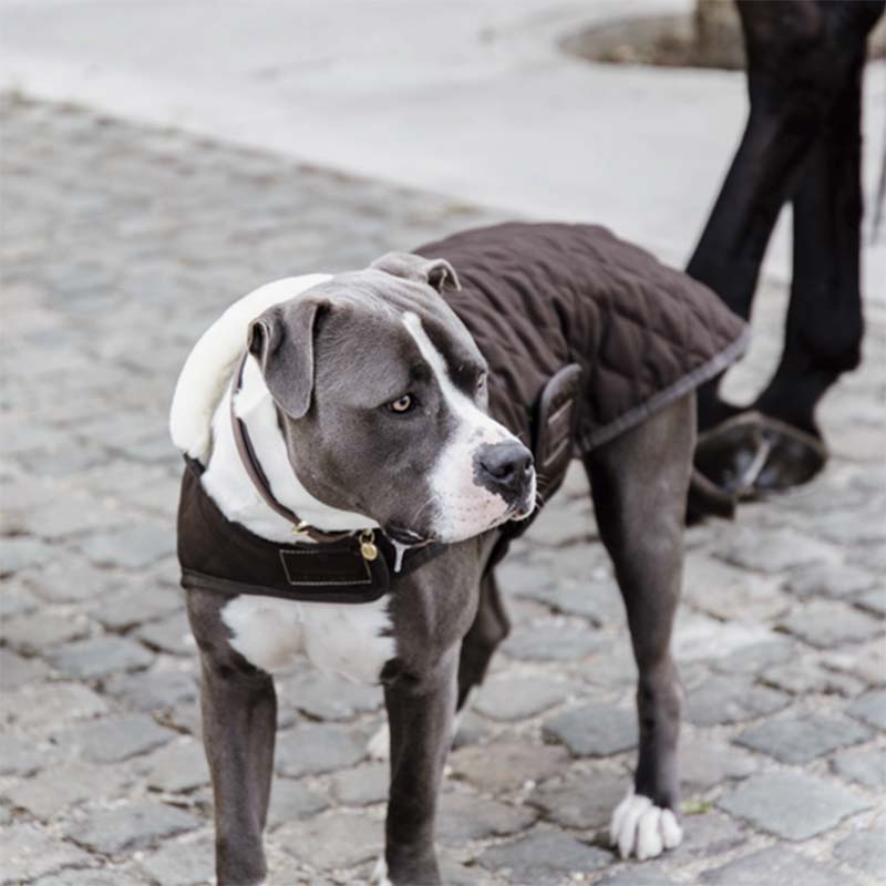 Hundemantel Original Braun