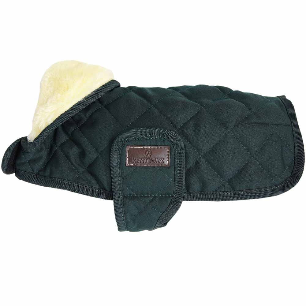 Hundemantel Original Grün