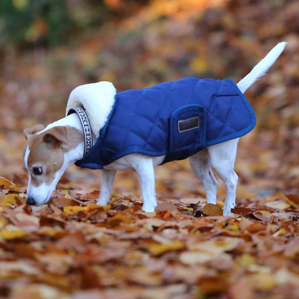 Hundemantel Original Marineblau