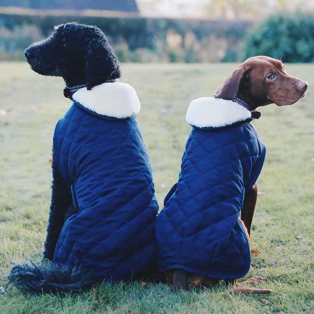 Hundemantel Original Marineblau