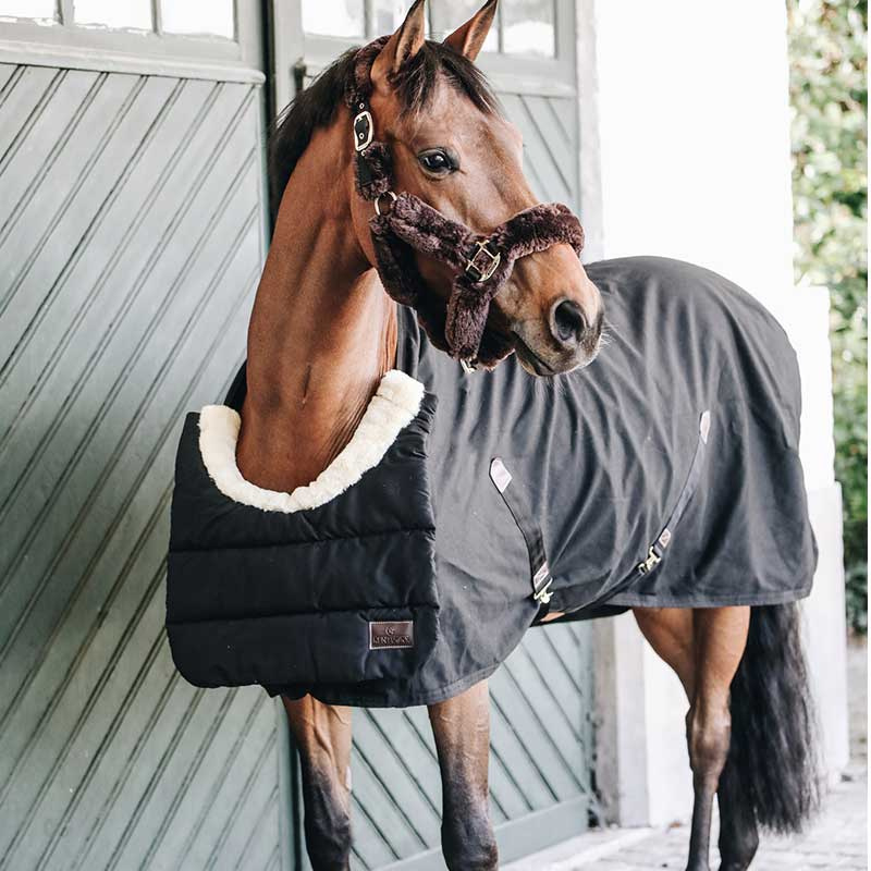Schulterschutz Horse BIB Winter Schwarz