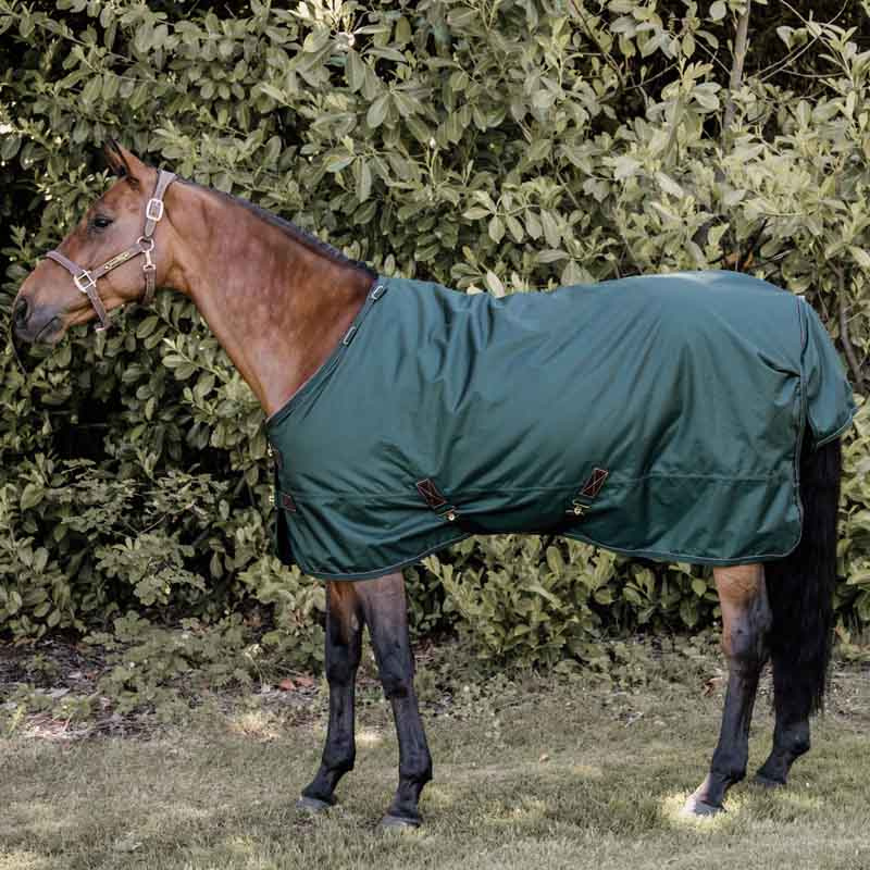 Turnout Rug All Weather Waterproof Pro 160g Dunkelgrün