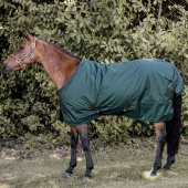 Turnout Rug All Weather Waterproof Pro 160g Dunkelgrün Turnout Rug All Weather Waterproof Pro 160g Dunkelgrün