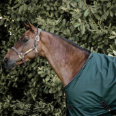 Turnout Rug All Weather Waterproof Pro 160g Dunkelgrün Turnout Rug All Weather Waterproof Pro 160g Dunkelgrün