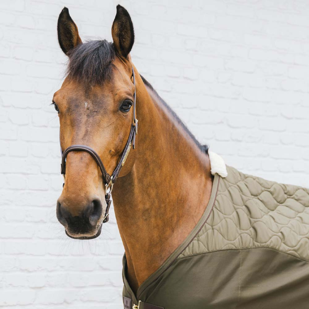 Transport Decke Combo Cooler Fleece Grün
