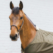 Transport Decke Combo Cooler Fleece Grün Transport Decke Combo Cooler Fleece Grün