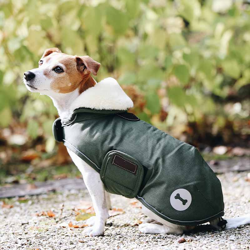 Hundemantel Waterproof 300g Olivgrün