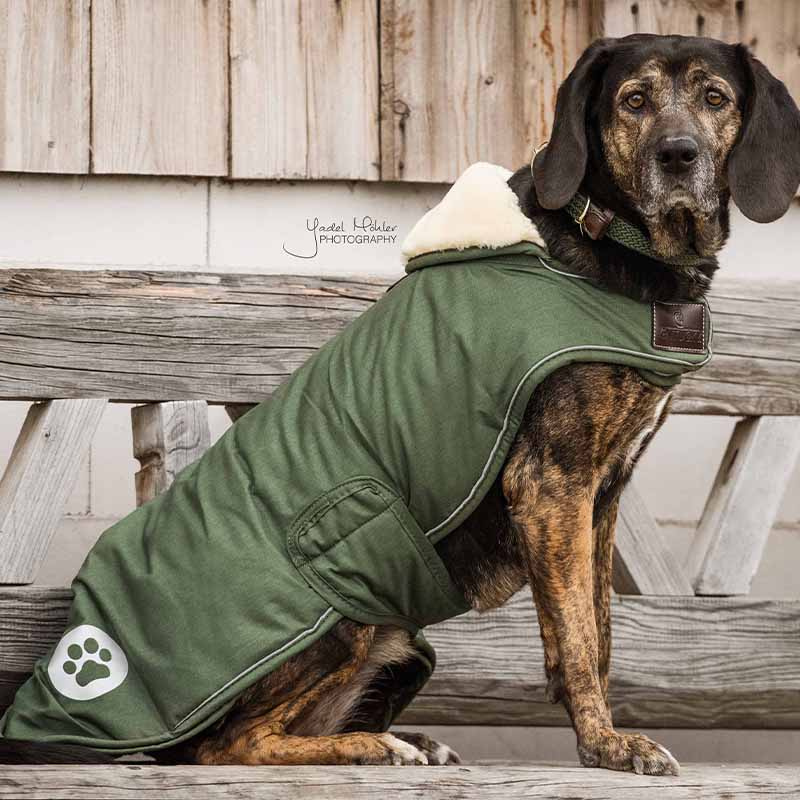 Hundemantel Waterproof 300g Olivgrün
