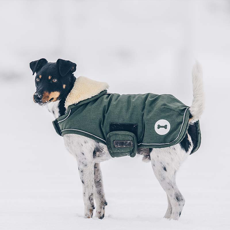 Hundemantel Waterproof 300g Olivgrün