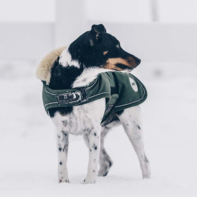 Hundemantel Waterproof 300g Olivgrün