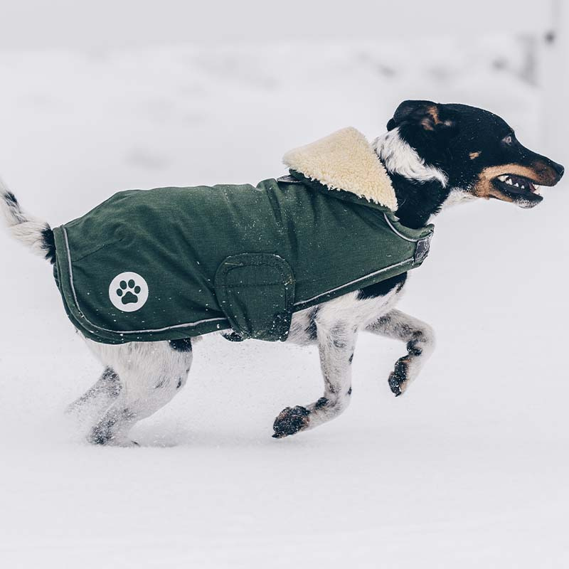 Hundemantel Waterproof 300g Olivgrün