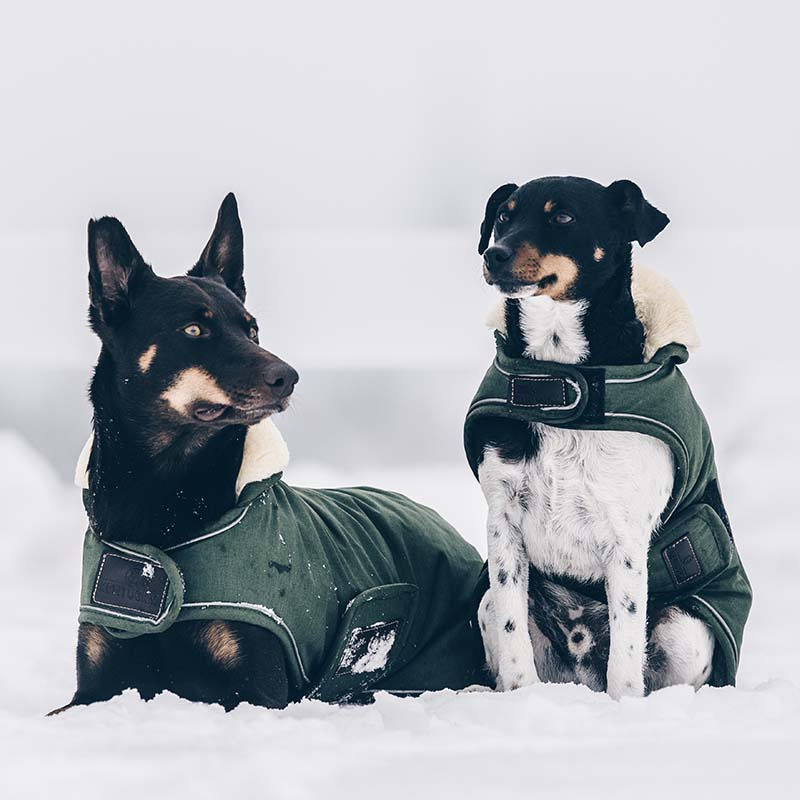 Hundemantel Waterproof 300g Olivgrün