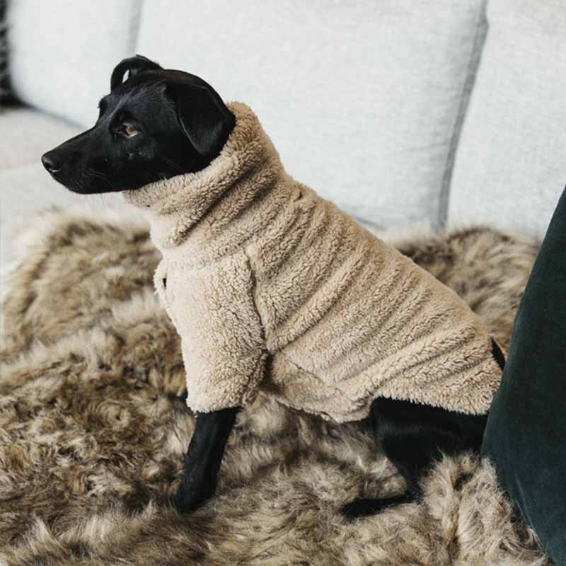 Hundepullover Teddy Fleece Beige