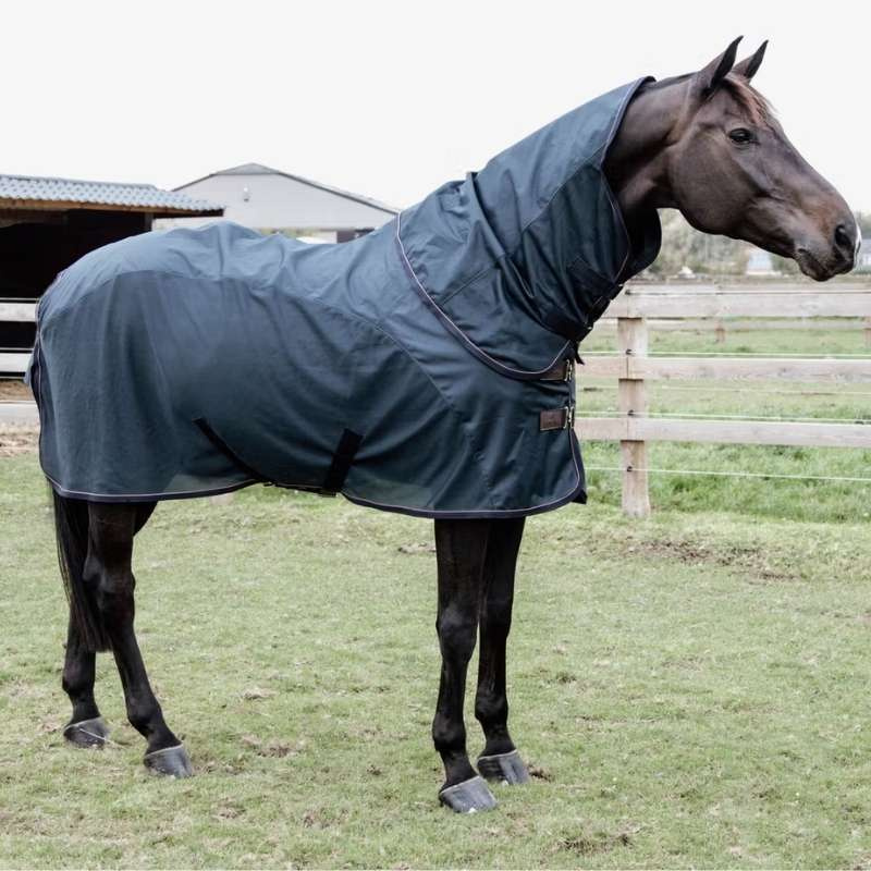 Regen- und Fliegen Decke Waterproof Combo Marineblau