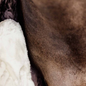 Brusterweiterung Vegan Sheepskin 1 Buckle Natur Brusterweiterung Vegan Sheepskin 1 Buckle Natur