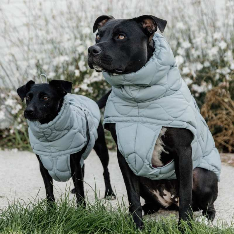 Hundemantel Winter Pina 160g Blau