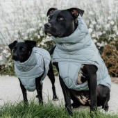 Hundemantel Winter Pina 160g Blau Hundemantel Winter Pina 160g Blau