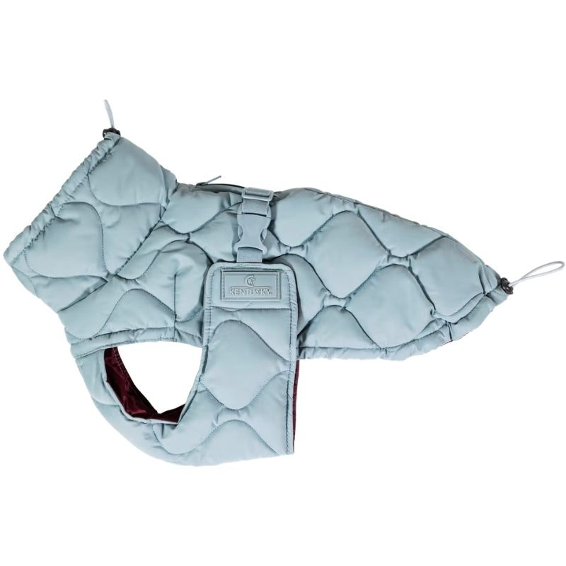 Hundemantel Winter Pina 160g Blau