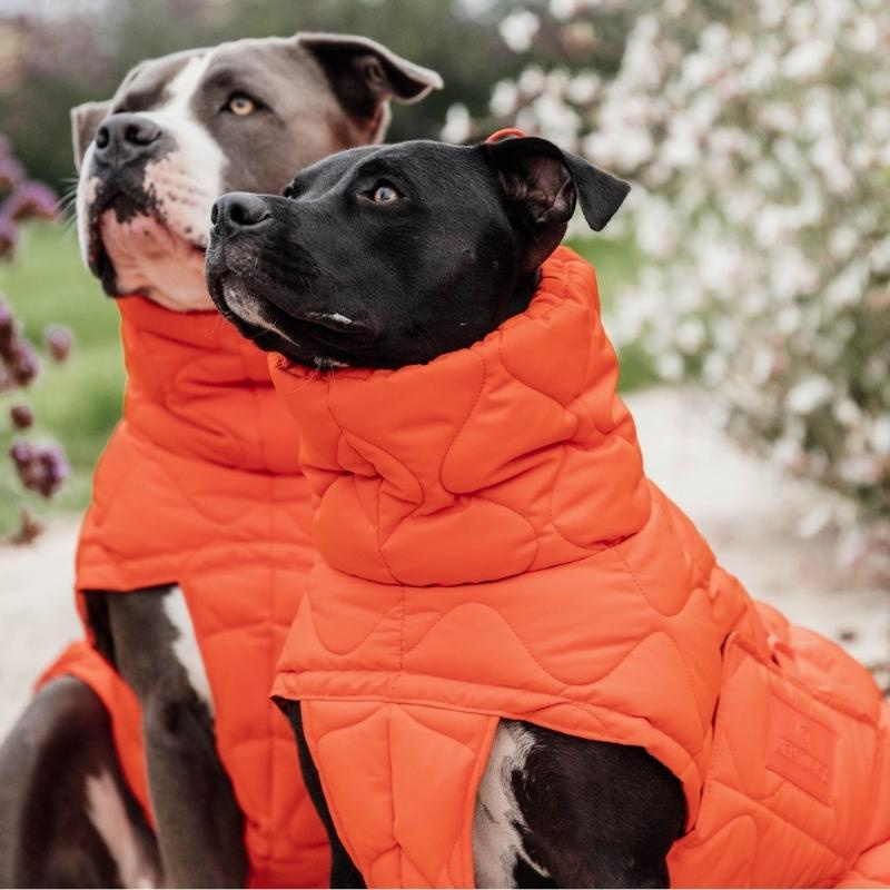 Hundemantel Winter Pina 160g Orange