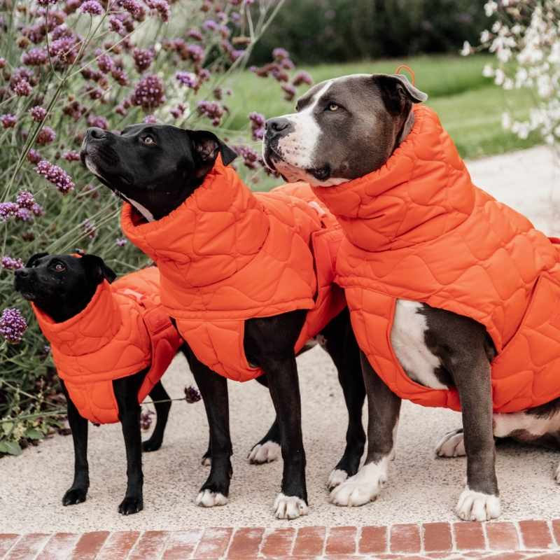 Hundemantel Winter Pina 160g Orange