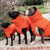 Hundemantel Winter Pina 160g Orange Hundemantel Winter Pina 160g Orange