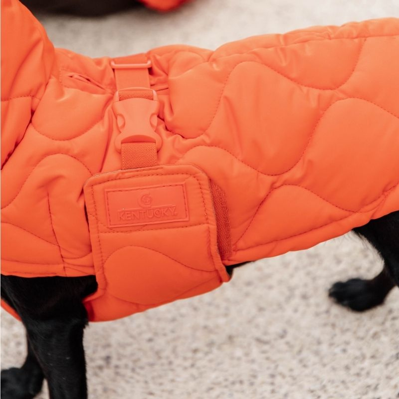 Hundemantel Winter Pina 160g Orange