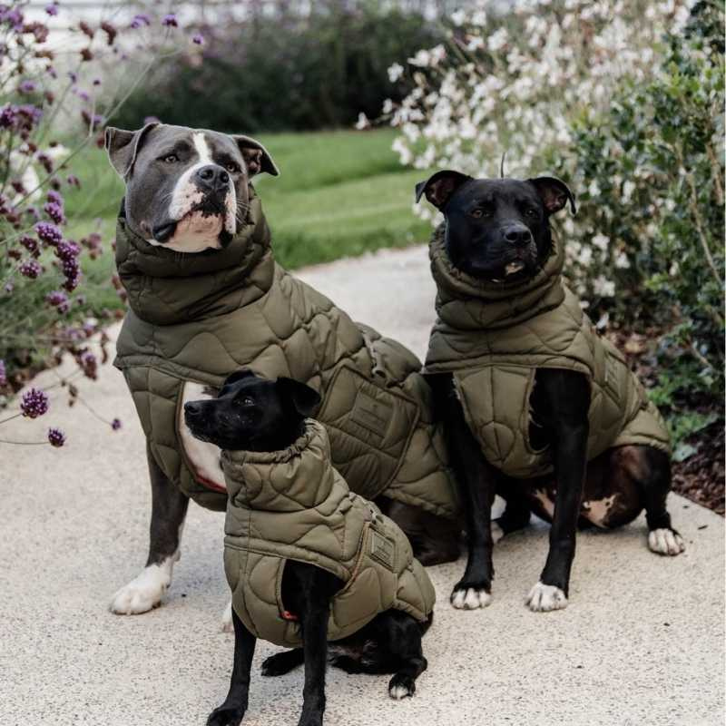 Hundemantel Winter Pina 160g Grün